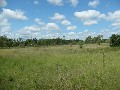 7 ½ Acres in Gracemere Picture