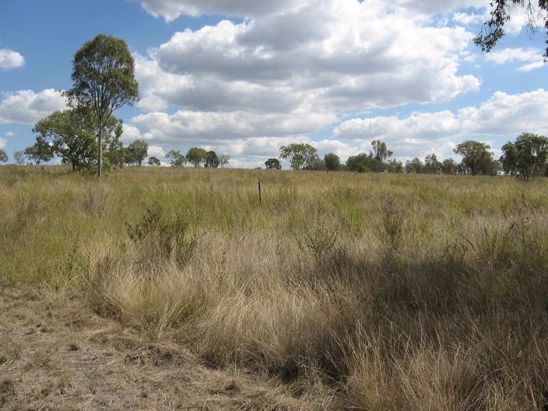 Acerage on Gracemere's Doorstep Picture 3