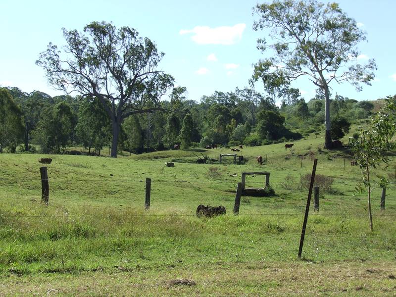 Spelling Block Close To Saleyards & City Picture 3