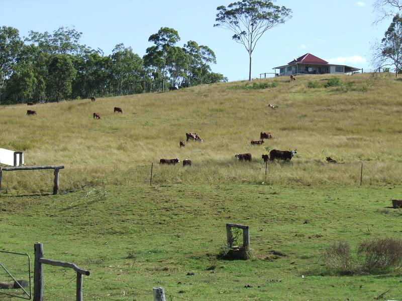 Spelling Block Close To Saleyards & City Picture 1