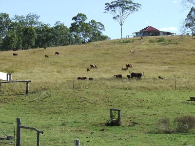 Spelling Block Close To Saleyards & City Picture