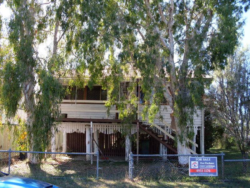 Great Little Starter Picture 1