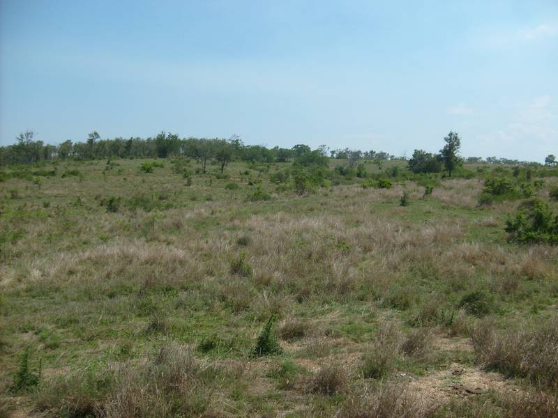 Starter Block Picture 3