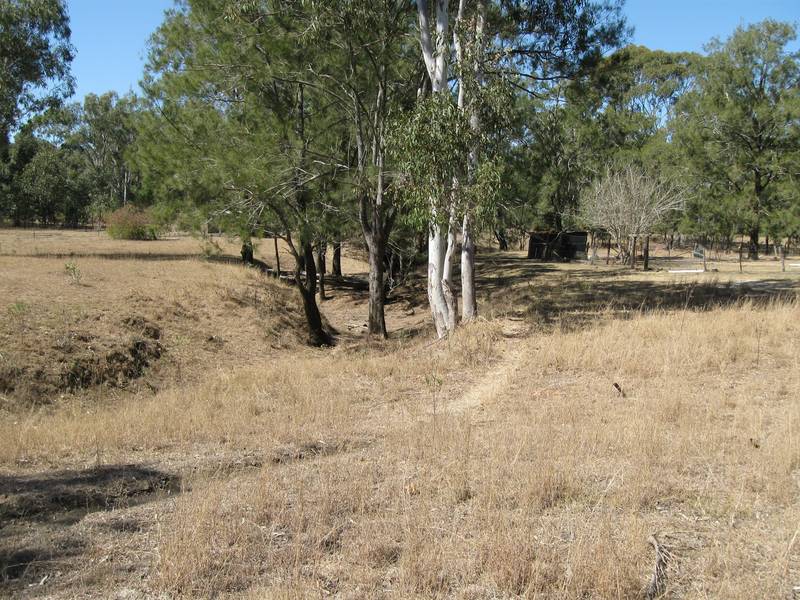 96 Acres of Undulated Farm Land Picture 3