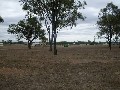 Land For Sale Picture