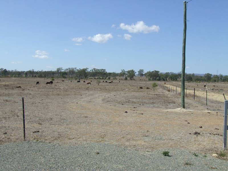 Acreage On The Edge Of Gracemere Picture 3