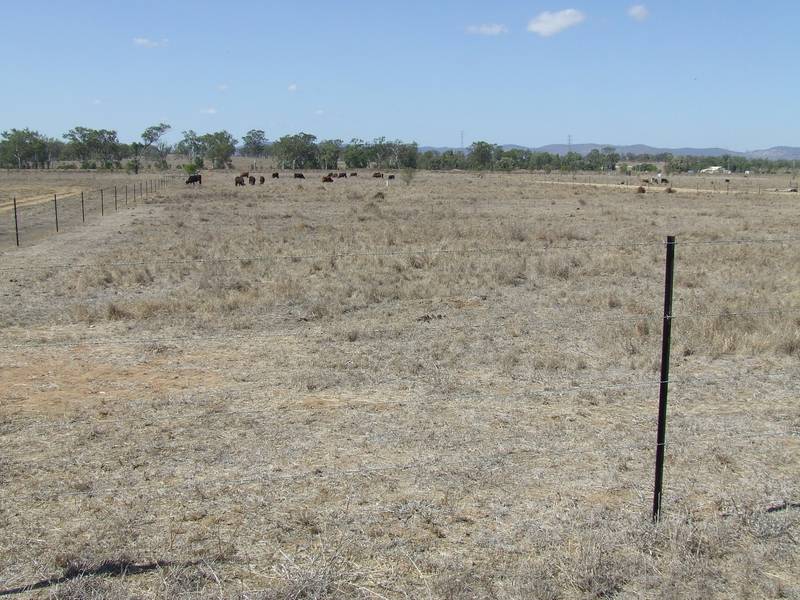 Acreage On The Edge Of Gracemere Picture 2