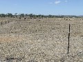 Acreage On The Edge Of Gracemere Picture