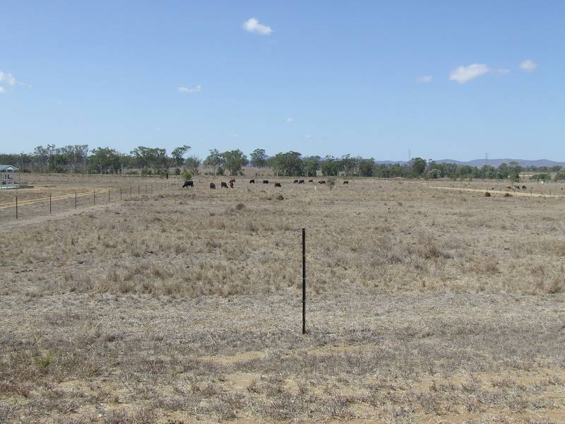 Acreage On The Edge Of Gracemere Picture 1