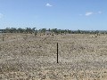 Acreage On The Edge Of Gracemere Picture