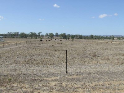 Acreage On The Edge Of Gracemere Picture