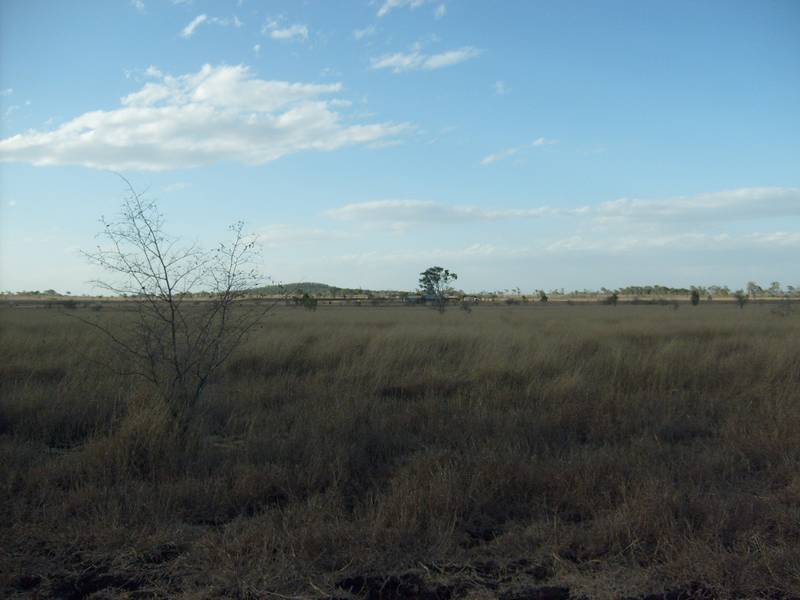 Clean Acreage With Water Picture 2