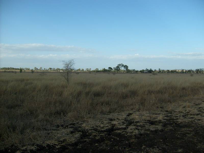 Clean Acreage With Water Picture 1