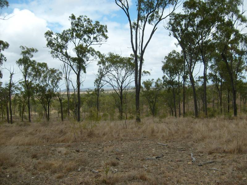 Breeder Country Picture 1