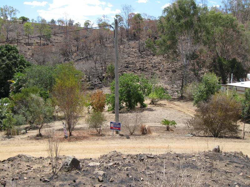 Close To Nature Picture 2