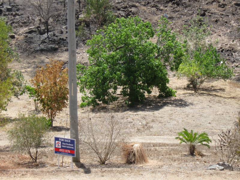 Close To Nature Picture 3