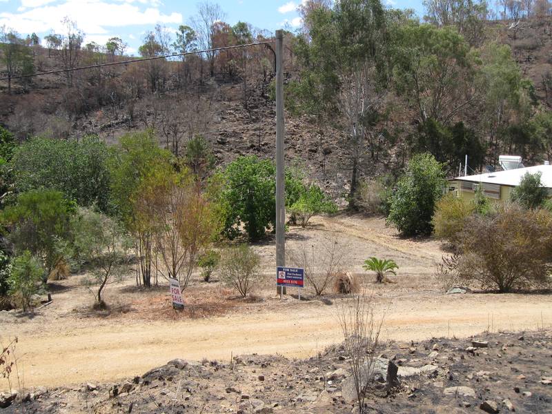 Close To Nature Picture 1