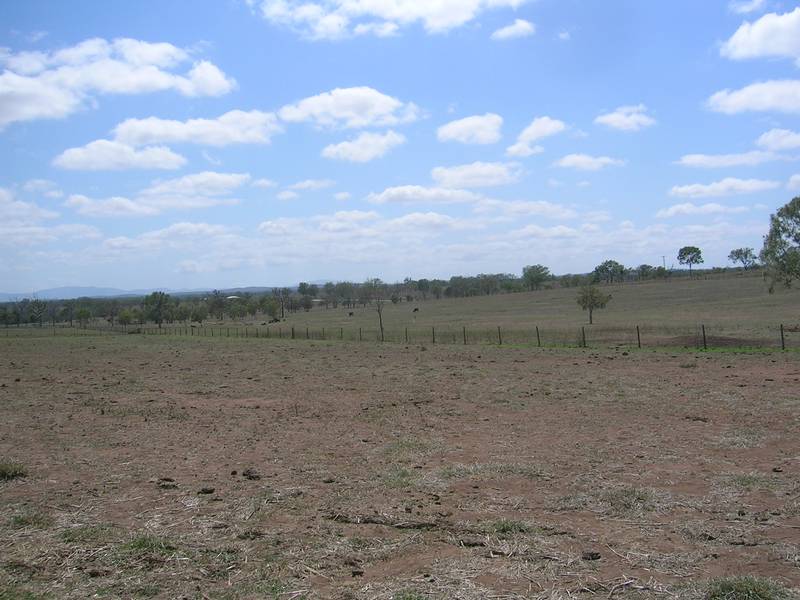 40 Acres ~ Position ~ Close to Town Picture 3