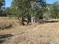 12 Acres of Undulated Farm Land Picture