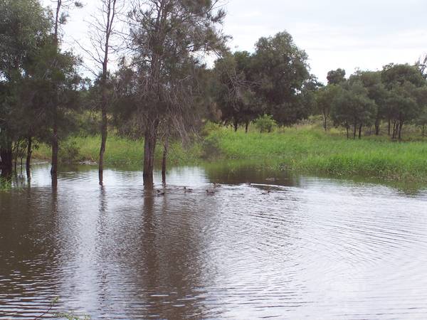 126 Acres Great For The Hobbie Farm Enthusiest Picture 3