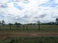 Vacant Land Picture