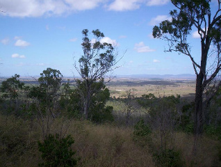 126 Acres of Vacant Land Picture 1