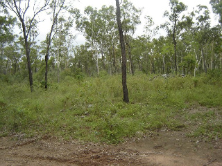 126 Acres of Vacant Land Picture 2