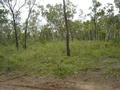 126 Acres of Vacant Land Picture