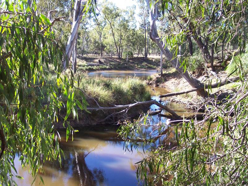 MILTON-176 HA (436ac)
LOAM, 2 CREEKS and LARGE PERMANENT LAGOON Picture 2