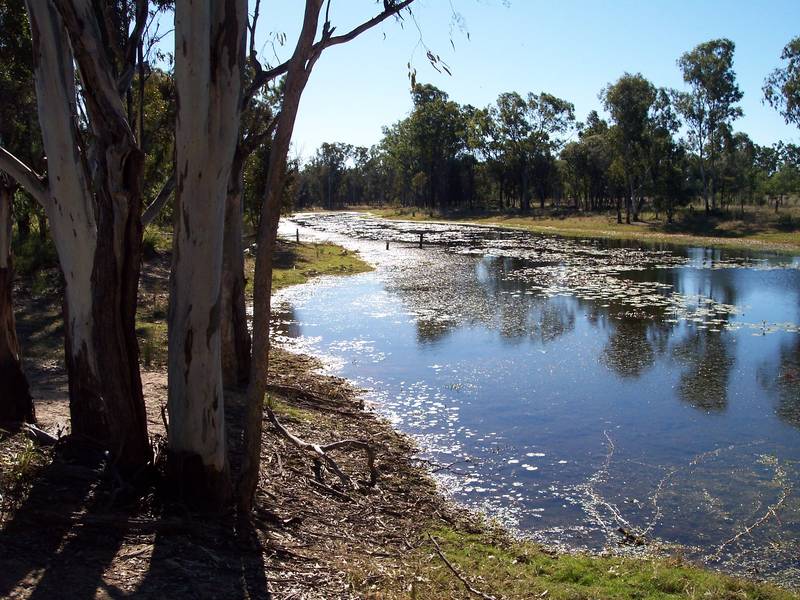 MILTON-176 HA (436ac)
LOAM, 2 CREEKS and LARGE PERMANENT LAGOON Picture 3