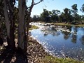 MILTON-176 HA (436ac)
LOAM, 2 CREEKS and LARGE PERMANENT LAGOON Picture