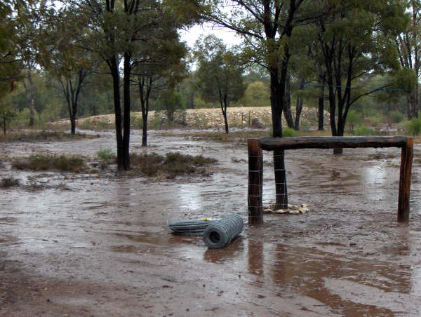 GREAT WEEKENDER- Acerage with Shed
REDUCED!!! Picture 3