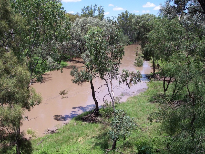 ON THE BANKS of the MIGHTY CONDAMINE Picture 1