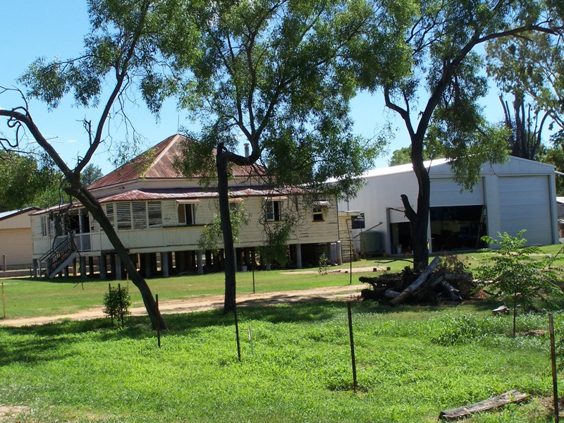 HOUSE NEEDS WORK- BUT THE SHEDS A BEAUTY Picture 1