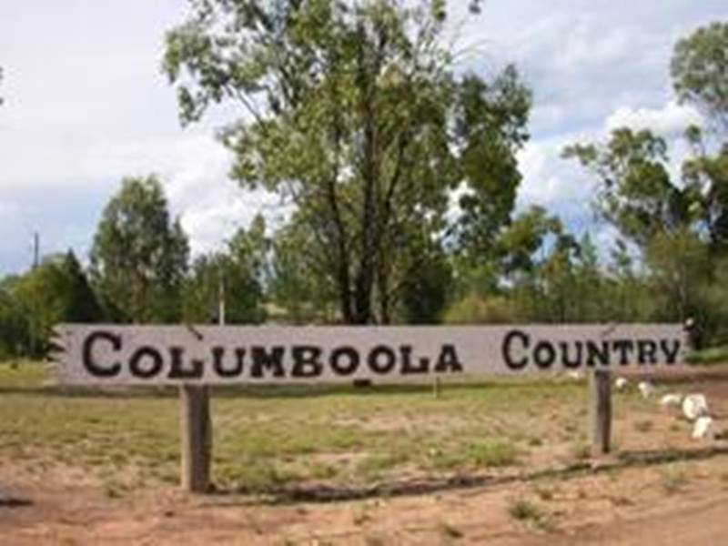 COLUMBOOLA COUNTRY RETREAT Picture 3
