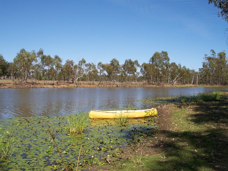 Backgrounding - Approved Feedlot Picture 2