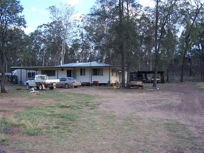 Grazing and Timber Picture
