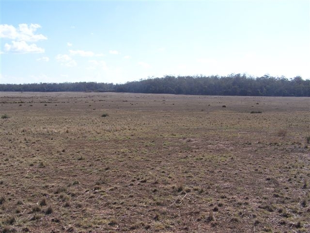 Grazing and Timber Picture 3