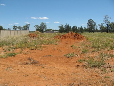 VACANT LAND IN PINE TREES ESTATE Picture