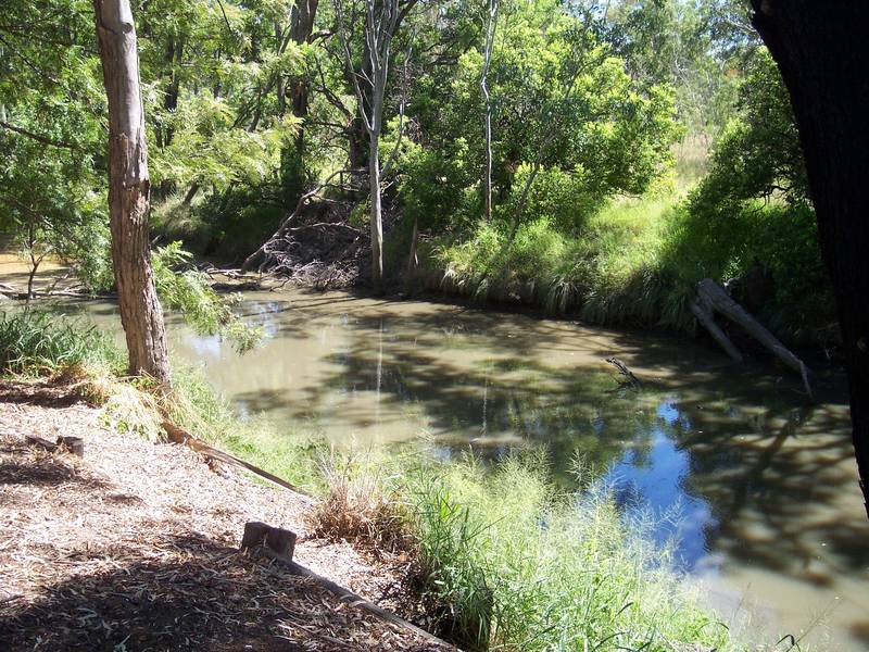 HIGHWAY CAFE, OPPORTUNITIES PLUS Picture 3