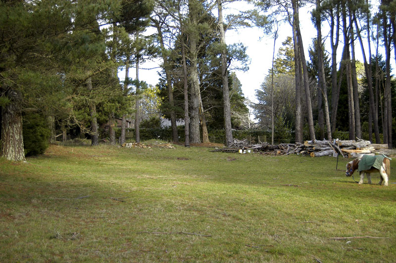 A Tranquil and Elegant Retreat Picture 1