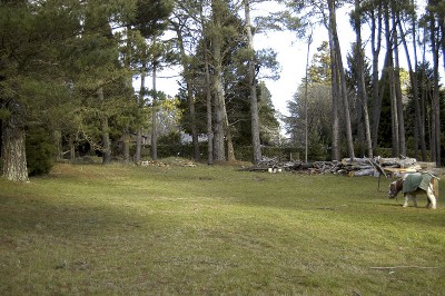 A Tranquil and Elegant Retreat Picture