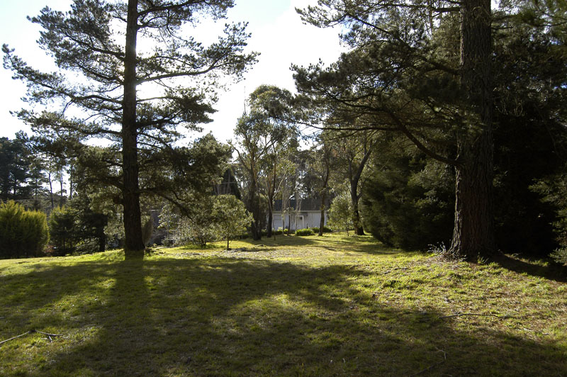 A Tranquil and Elegant Retreat Picture 2