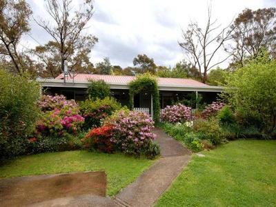 Lucinda Picture Lucinda Picture