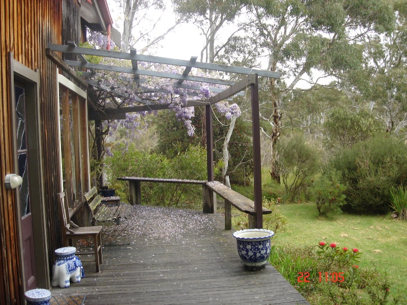 Magnificent Property on Shipley Plateau Picture 3