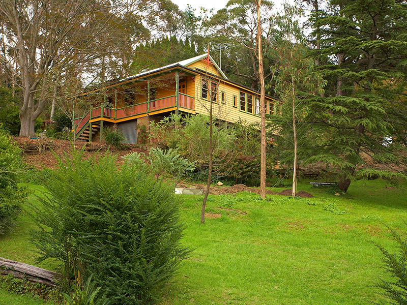 A Grand Dame!! Picture 1