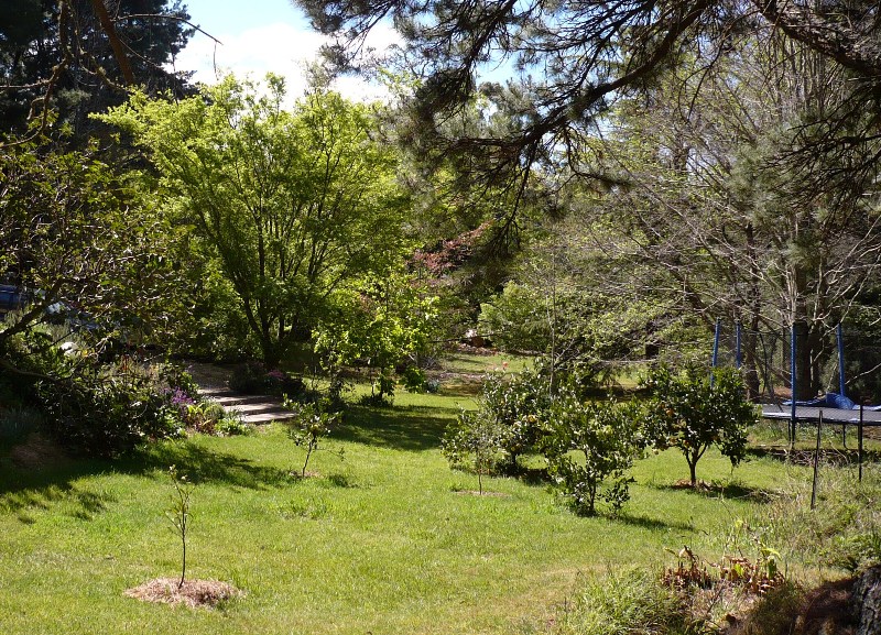 An Acre of Park Like Gardens Picture 2