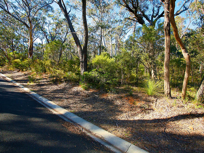 A unique and private parcel Picture 1