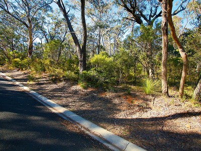 A unique and private parcel Picture