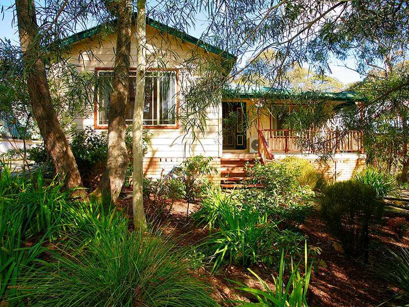 Mount Victoria at its best! Picture 1